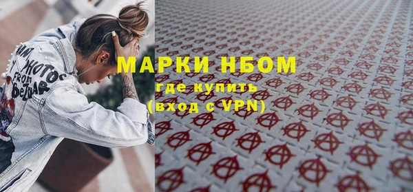 прущие грибы Балахна