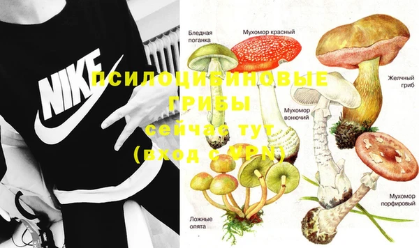 прущие грибы Балахна