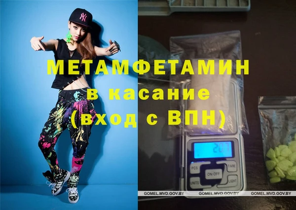 прущие грибы Балахна