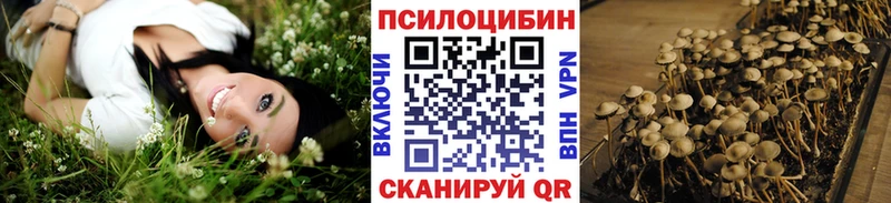 маркетплейс какой сайт  даркнет сайт  Верея  Псилоцибиновые грибы Magic Shrooms 